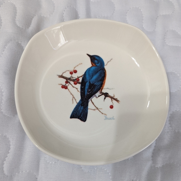 REDUCED TO SELL! National Wildlife snack plates, "Protect Our Songbirds" - Picture 4 of 9